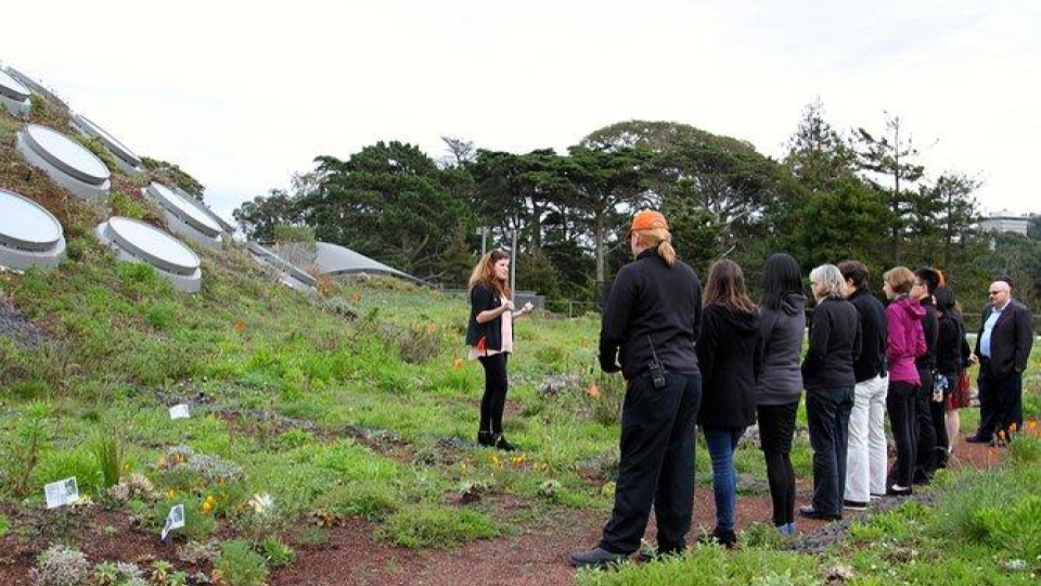 Big Team Science group activity in California