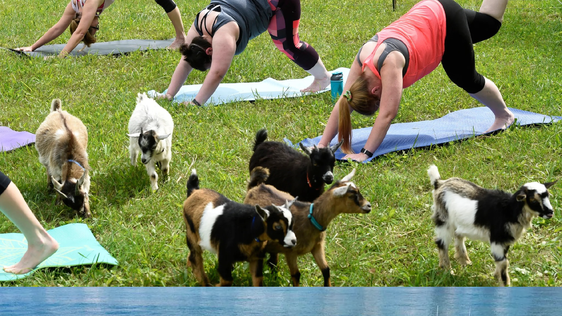 Wellness-focused destination