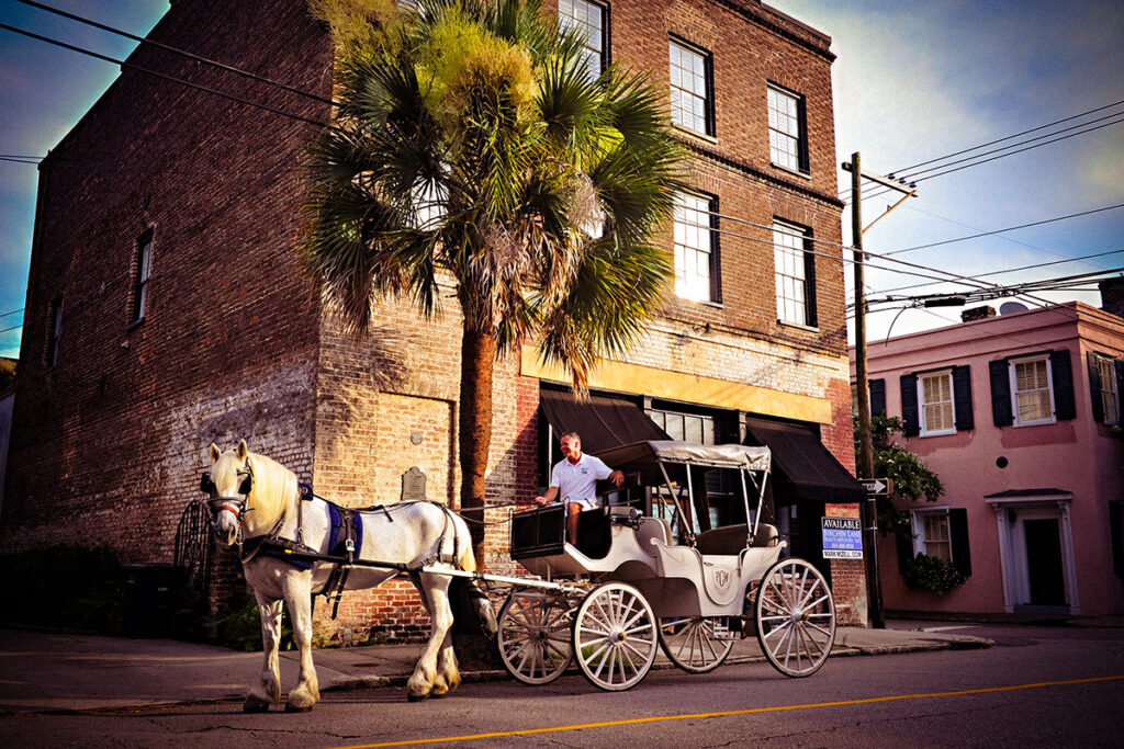 Horse-drawn carriage on a city street with brick buildings and a palm tree