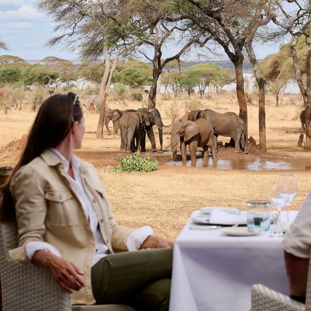 Woman seated outdoors watching elephants near a watering hole
