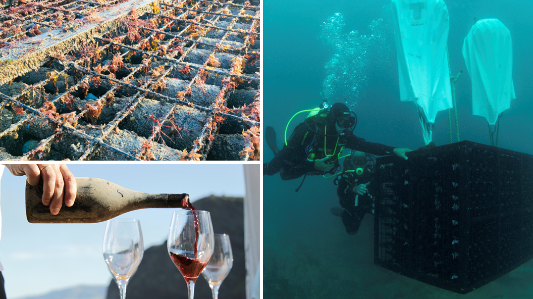 Collage showing underwater diving scenes, coral reef textures, and red wine being poured into glasses
